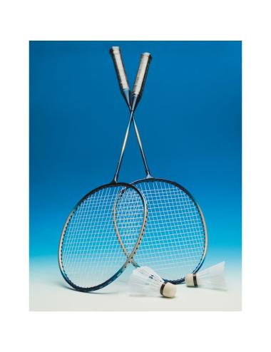 Juego de badminton