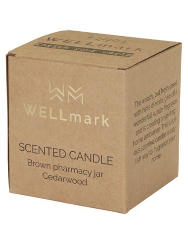 Vela perfumada de 650 g con fragancia de madera de cedro "Wellmark Let 's Get Cozy"