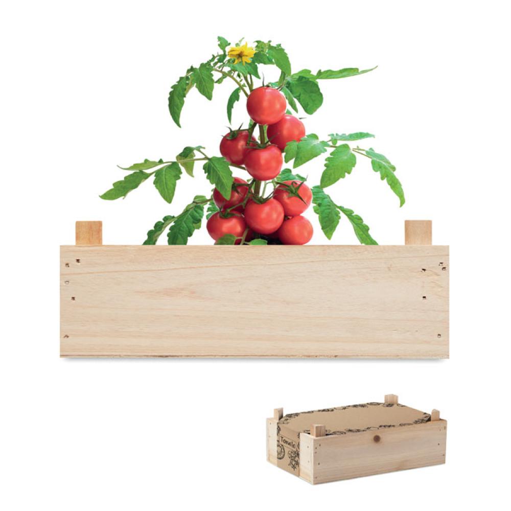 Mini-huerto tomates en caja