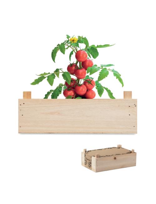 Mini-huerto tomates en caja