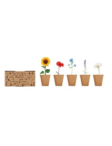 Kit de cultivo de flores