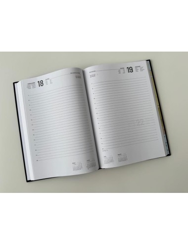 Agenda dietario 2025 17x24,5cm. día página - OFERTA LIQUIDACIÓN -