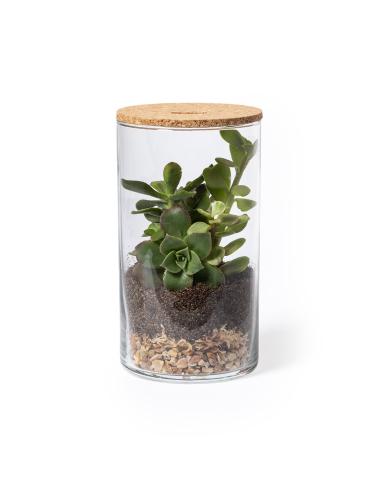 Terrarium Anymak