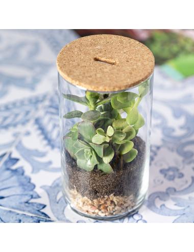 Terrarium Anymak